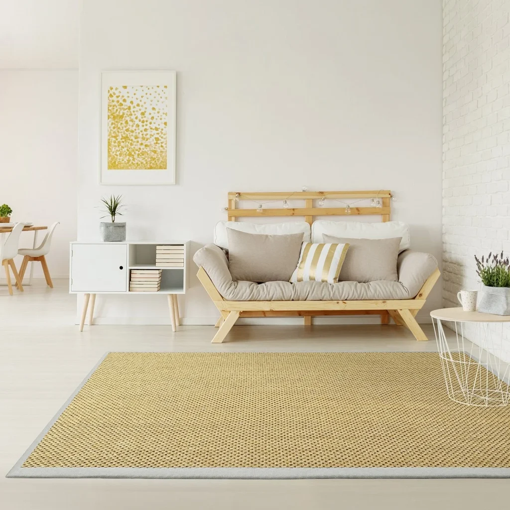 Sisal living room carpet